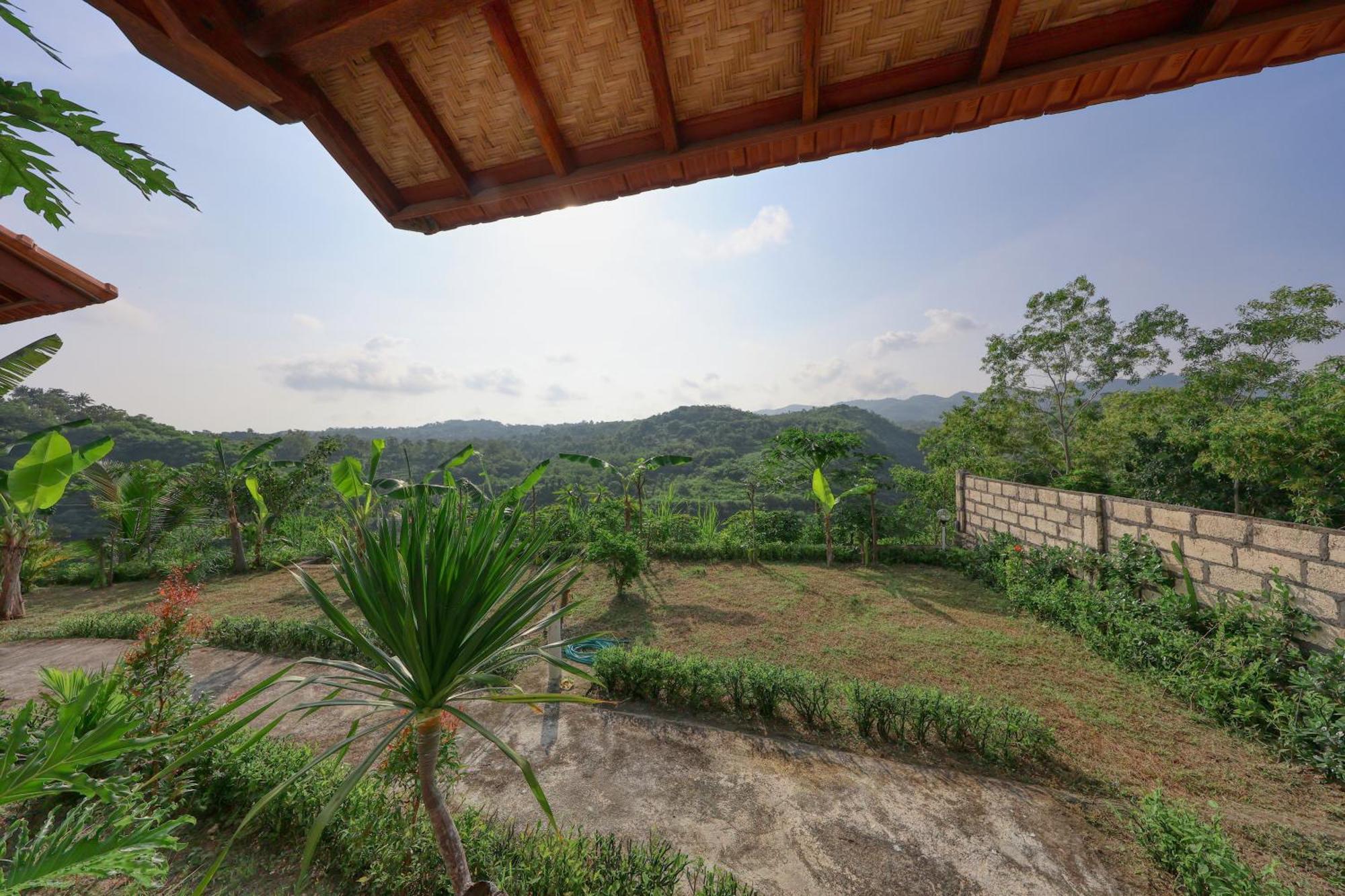 Ayu Hill Ped