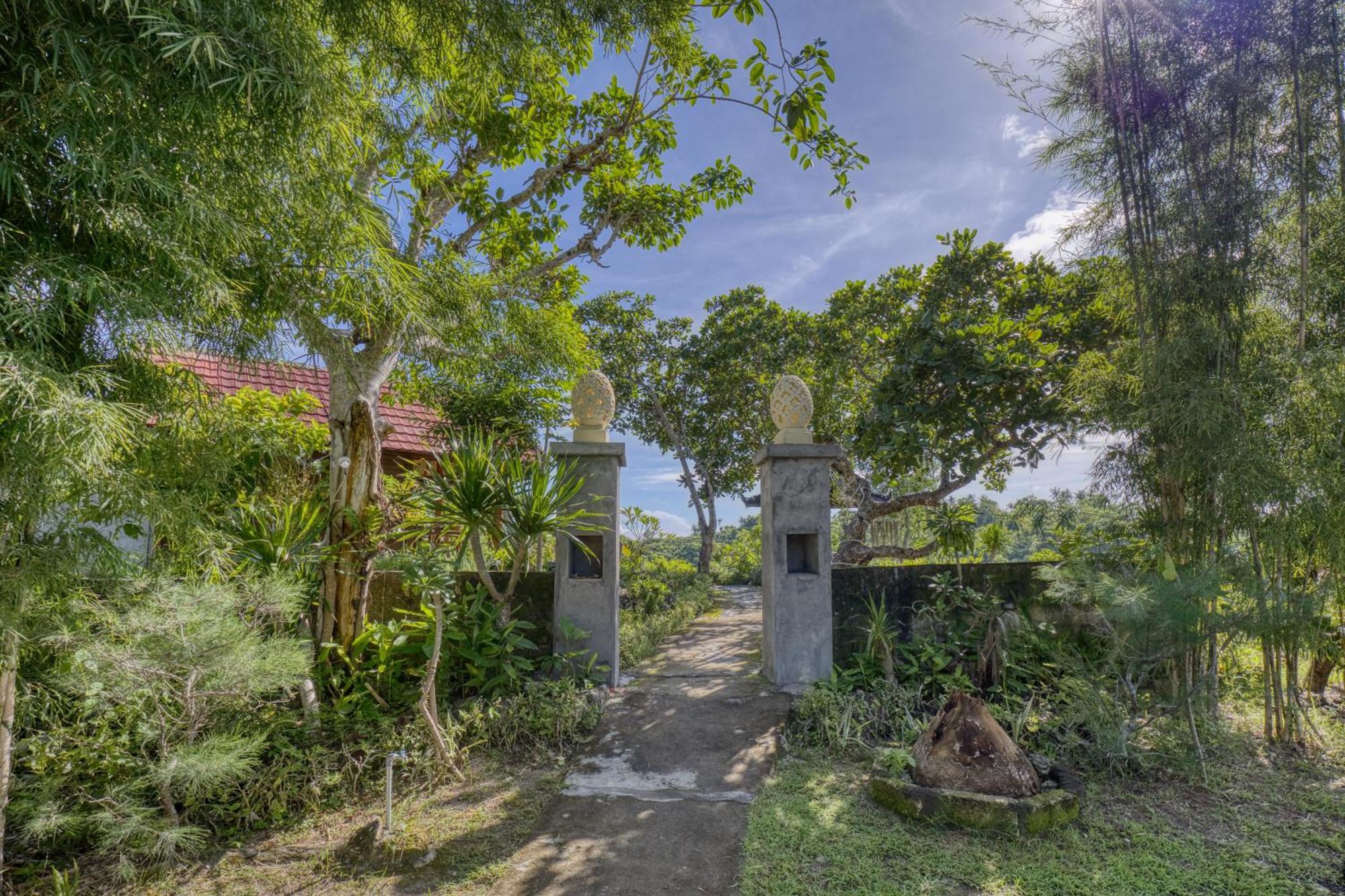 Ayu Hill *