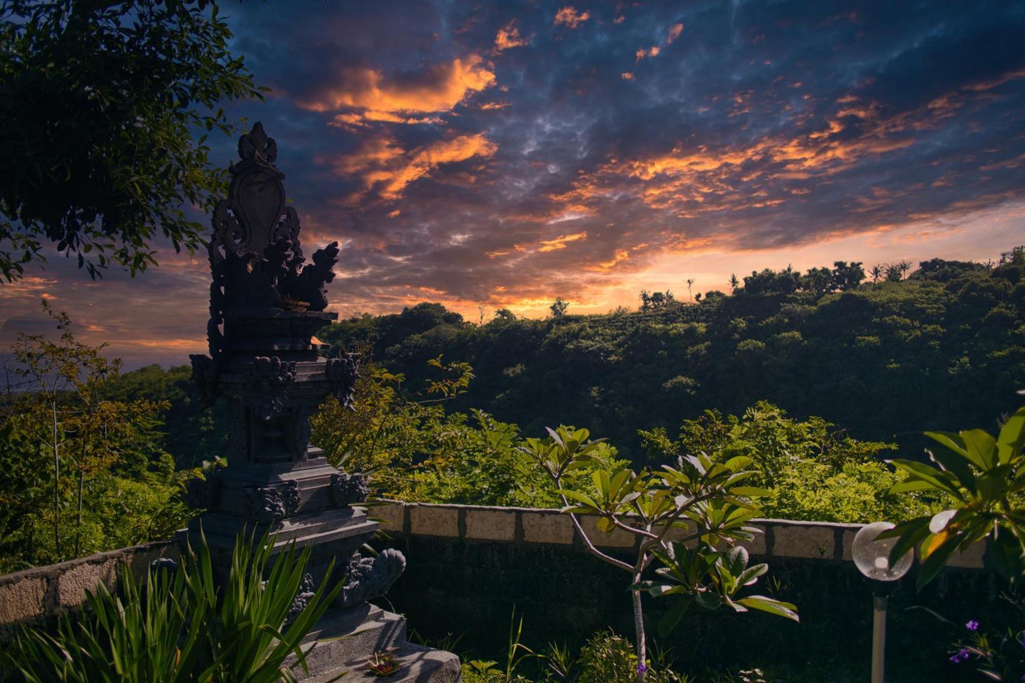 Ayu Hill Ped