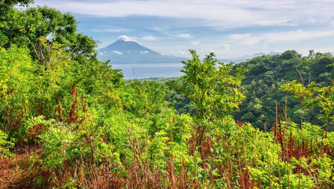 Ayu Hill Ped